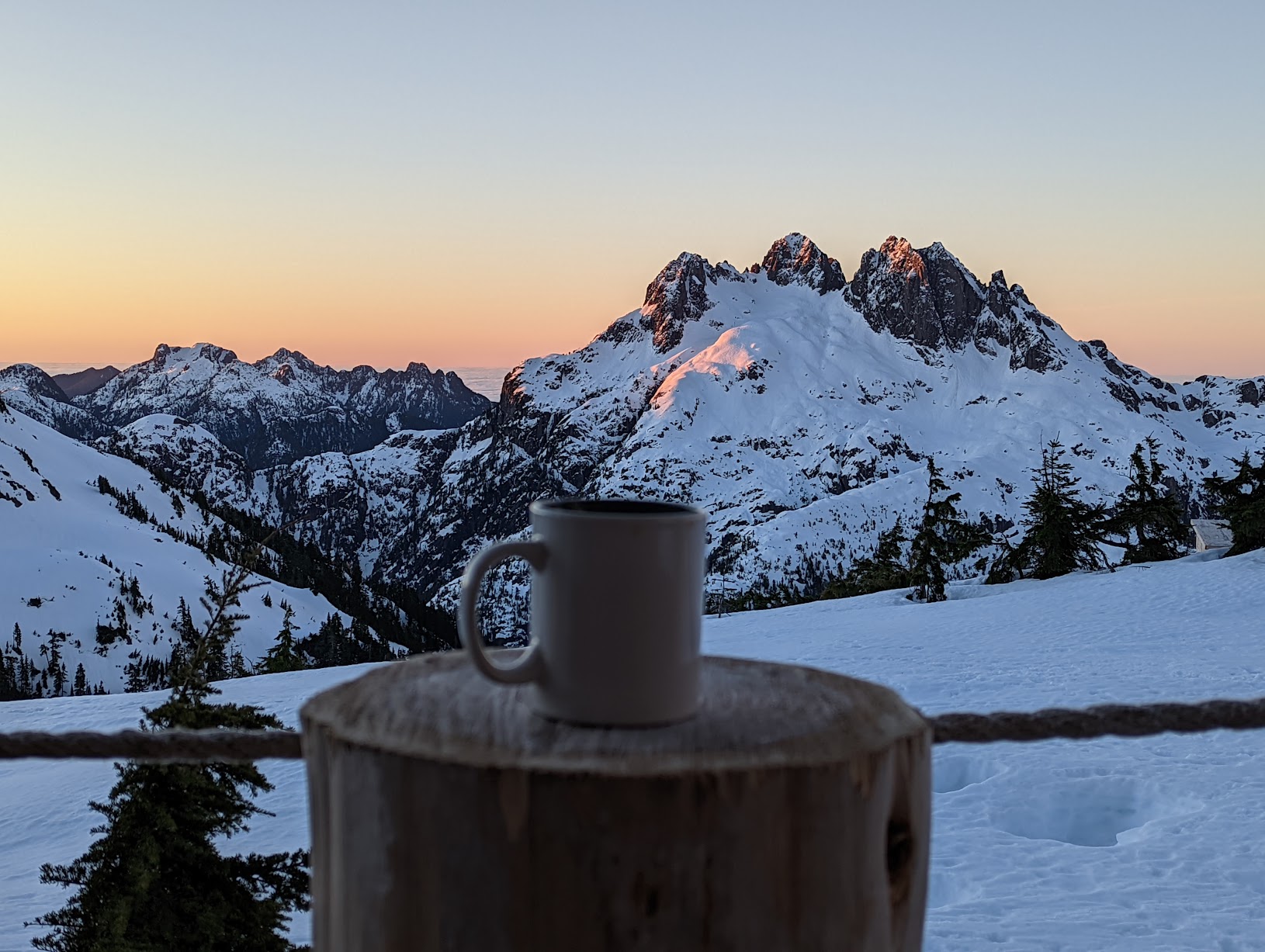 coffee