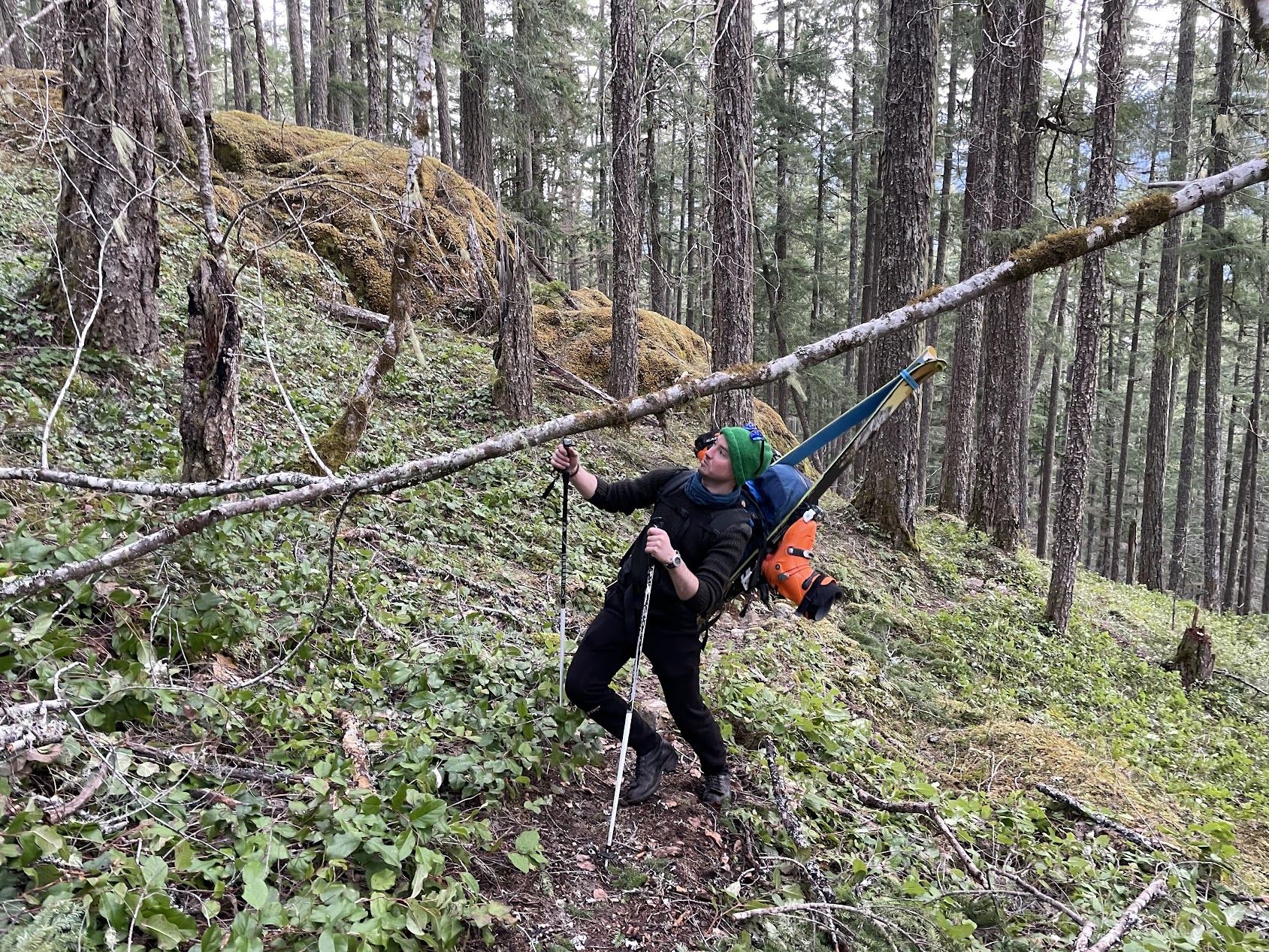hike in