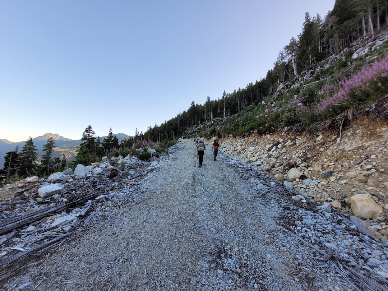 logging road